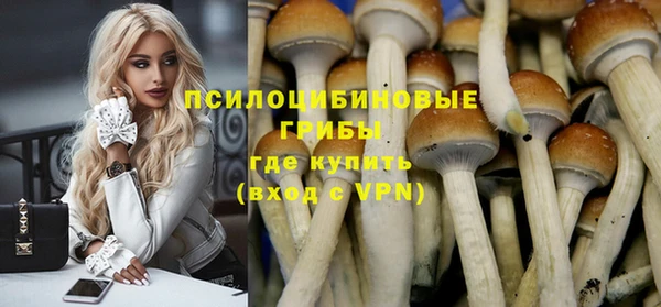 крисы Абинск