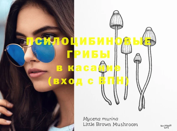 ECSTASY Медвежьегорск